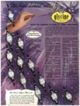 Glycine 1953 88.jpg